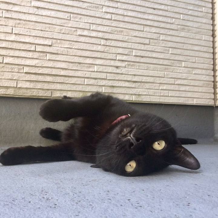 Fccc16ef 172f 4346 9145 c12a59205f53