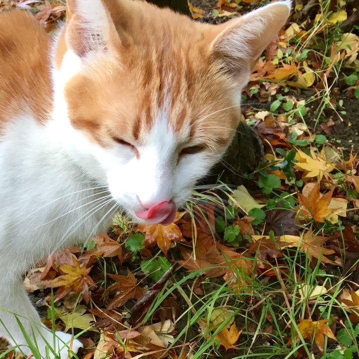 Fcccd12b ce07 42b6 8320 9124cc3d211c