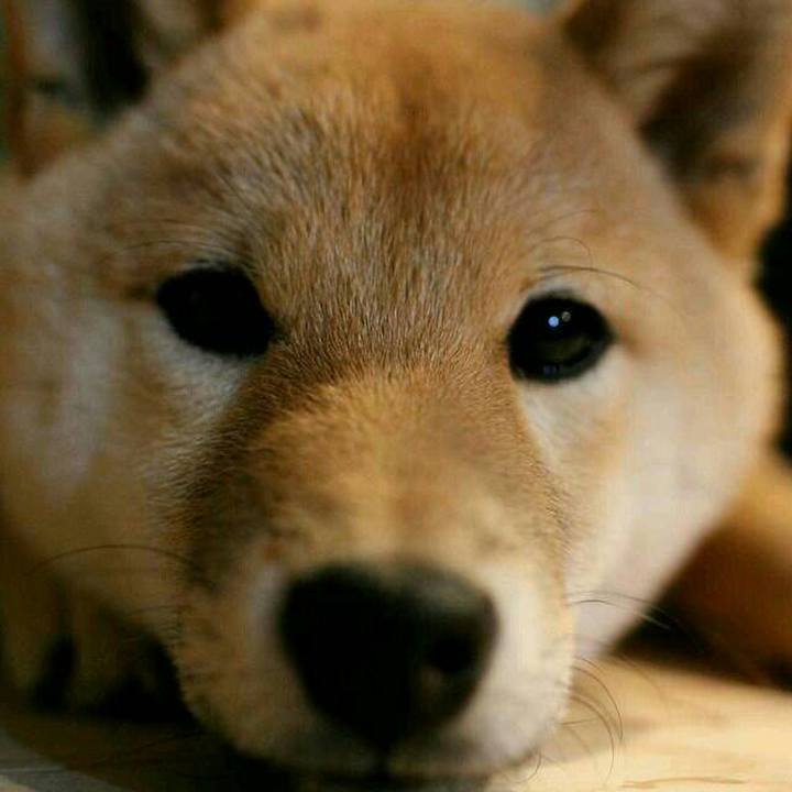 Fccd908e a0d7 4a84 af57 2217dc8e9342