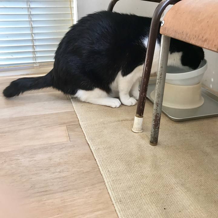 Fcce28e4 4bd9 40d9 9106 6cbf45e70e88