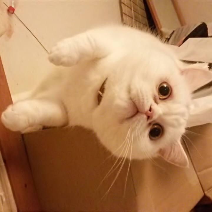 Fcce5bfa 3f8b 4b4d a665 9436c7ec574c