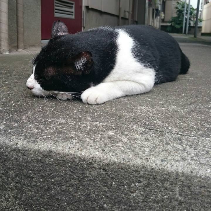 Fcce6499 ca49 40b7 b804 718490c55e75