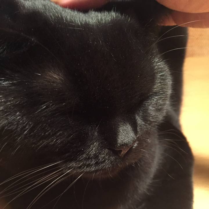 Fccea9e2 72ea 4623 95a3 a50496c7a3cf