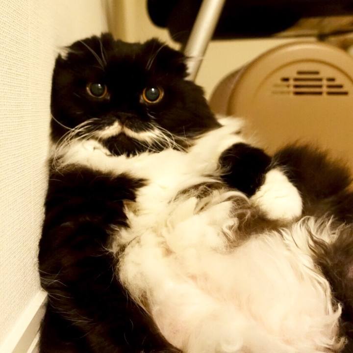 Fccfa375 afbb 4092 a906 55dd37b33ad9