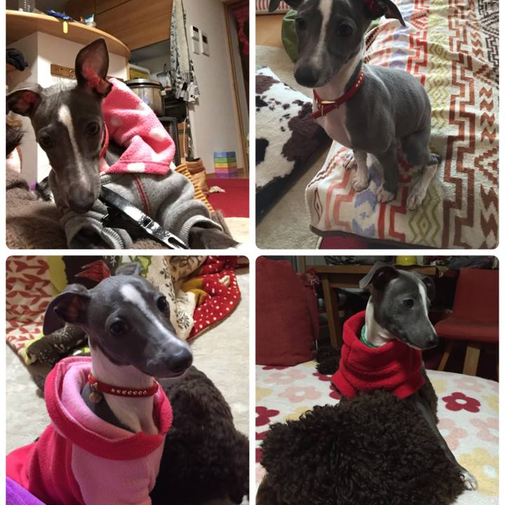 Fccfa916 a5fa 43c1 bb18 8342b5b7cd59