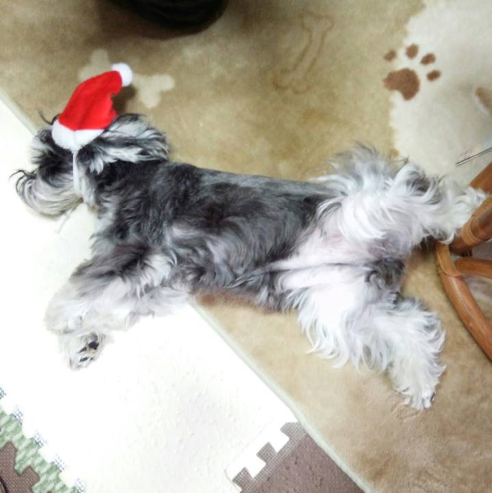 Fcd06e52 9d73 4e1c a366 e6ca6c7a8a72