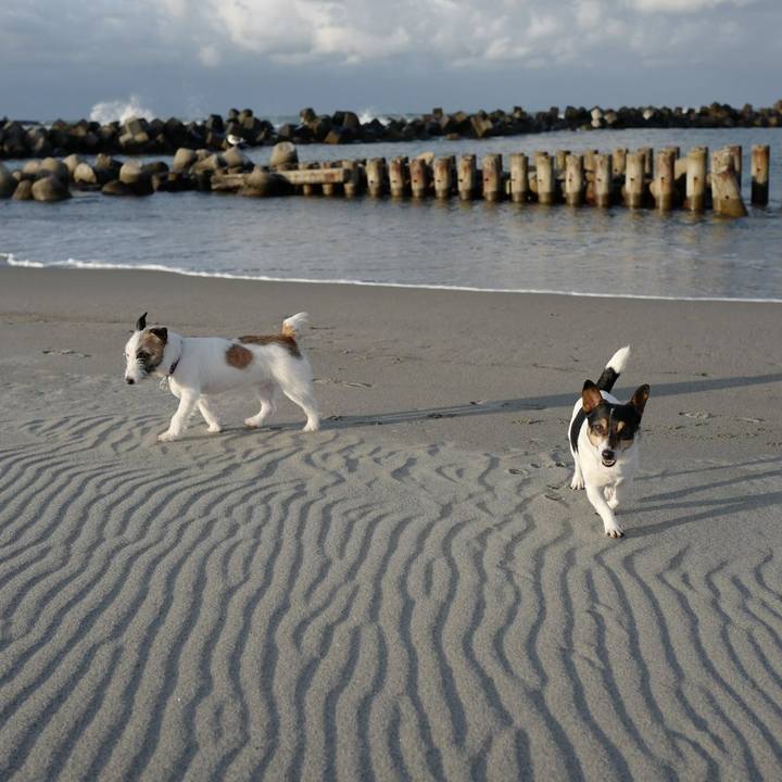 Fcd08ee8 9362 42ad b0c8 05565f52f2e1