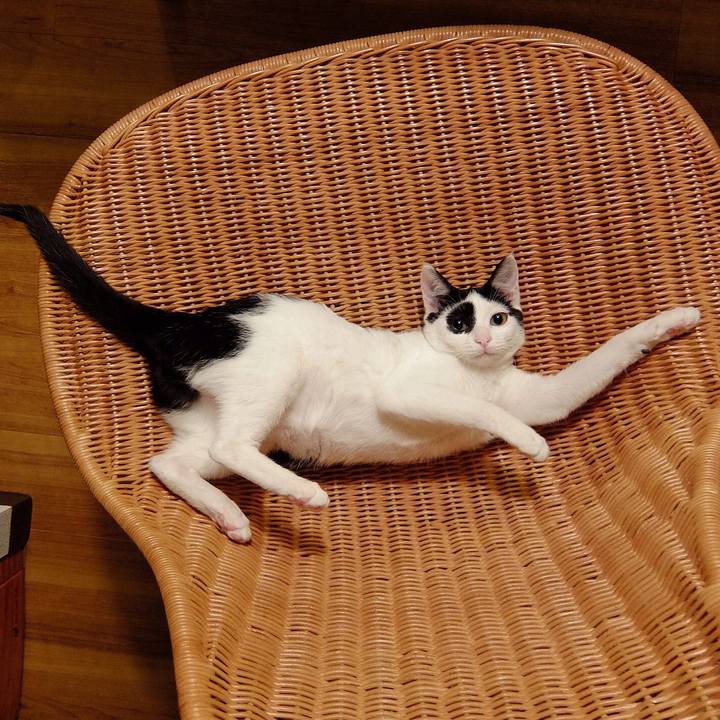 Fcd1103f 4dc1 4d20 bc0e 5eb9598532b2