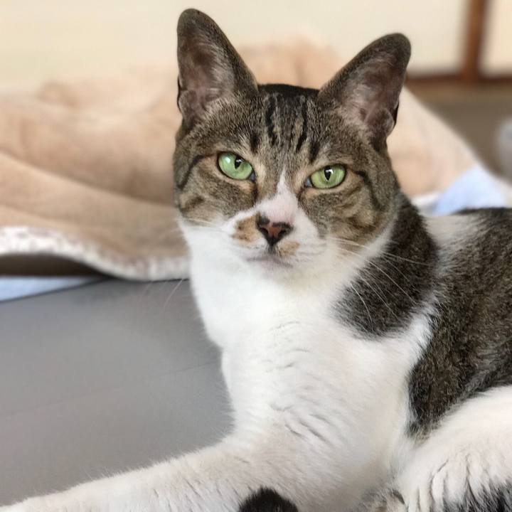 Fcd119a4 93c8 4398 a22f af5d700be510