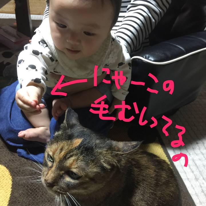 Fcd11d6b 83be 47a0 a57c b04d143c19b2