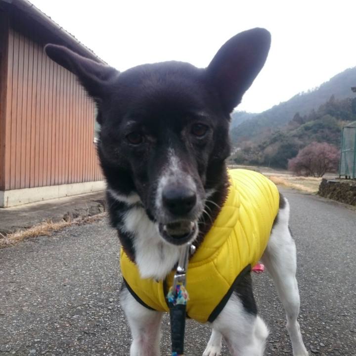 Fcd16048 006a 41ca 923f 5c00fb085a4b