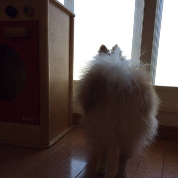 Fcd1708d f858 404a b5d9 aa971034786e