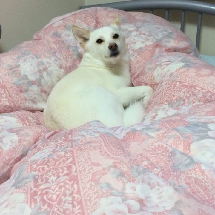 Fcd1a3e0 0a9d 4d92 8268 eaea3c2cb0d4