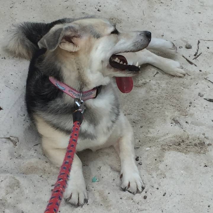 Fcd1ac10 045a 4dfa bfea 68ffeb920d93