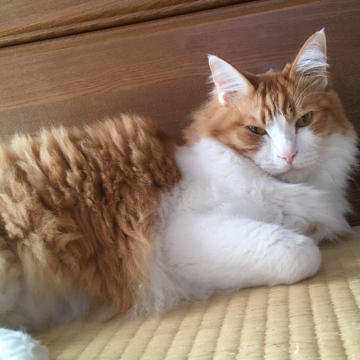 Fcd1ae42 eab1 4699 a405 0b6ac770d55a