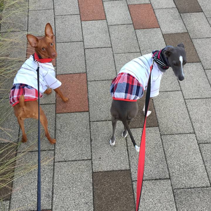 Fcd2797a c71f 459b ac87 01267d026d64