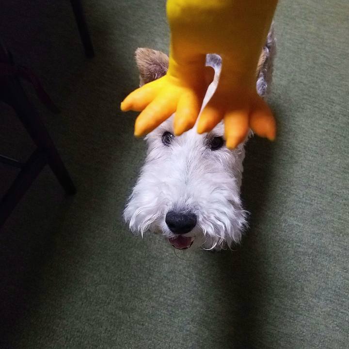 Fcd2bbaa a63a 4c73 85b2 fea20746b0b5