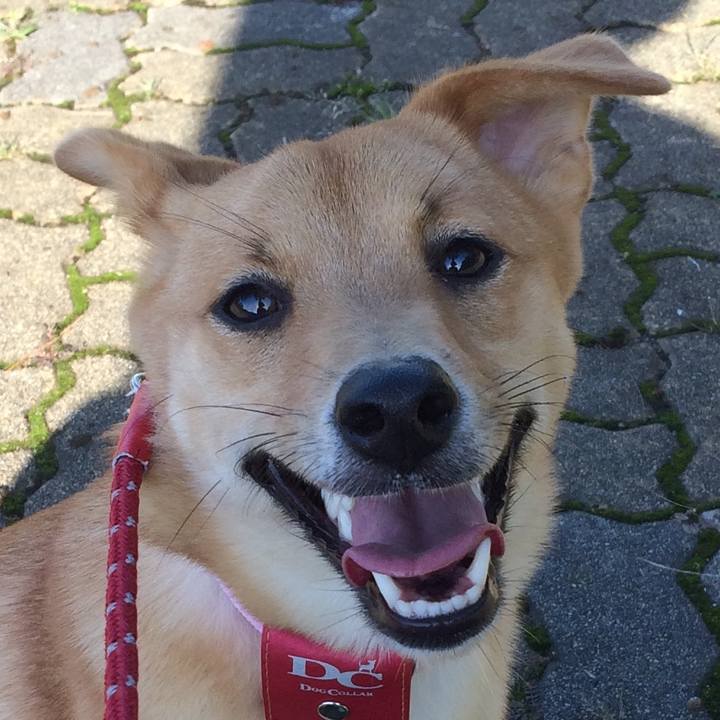 Fcd2d8f7 d1c3 4520 bea7 ade7df1c8102