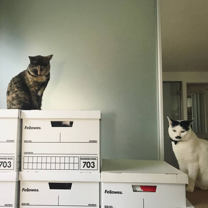 Fcd32545 d00d 4a1a a746 9a3fd38c2afc