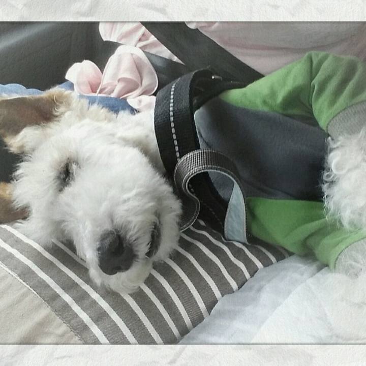 Fcd35f8c b1c4 48d4 9c5e 99679a3b4502