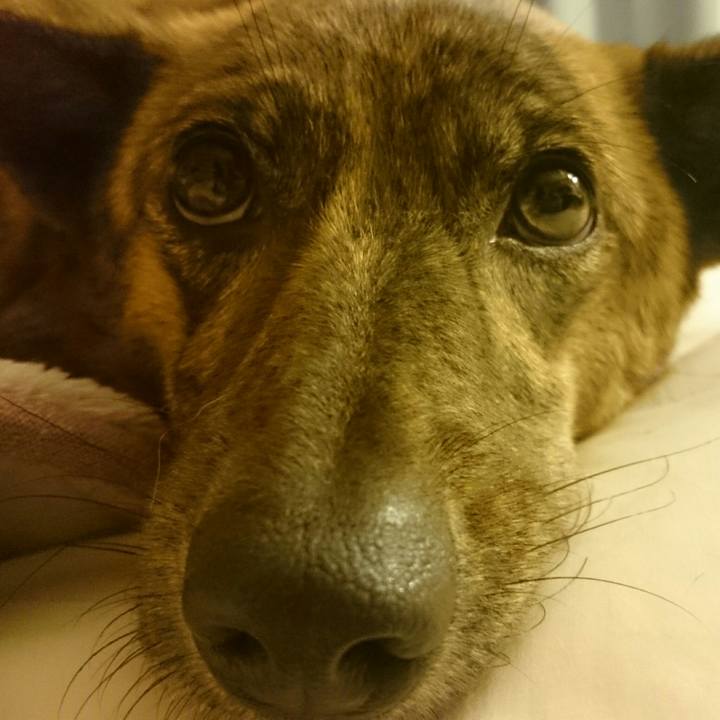 Fcd37e3b bbc9 4d65 9356 ced5fb11e5ee