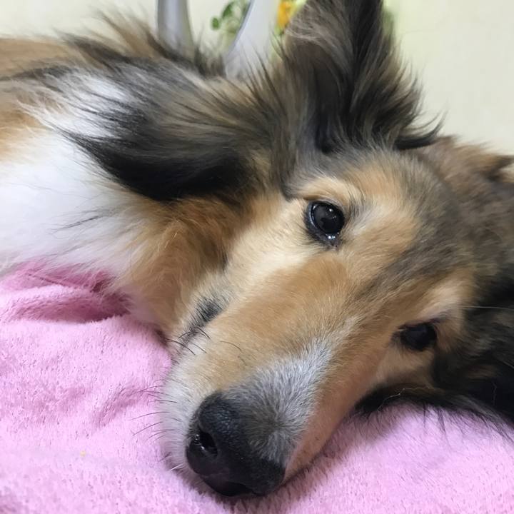 Fcd3df66 4c6d 4d90 906b d5d0e83b66ab