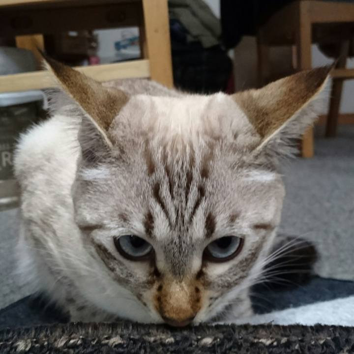 Fcd49da4 63e8 4ae0 852e 657202b66b09