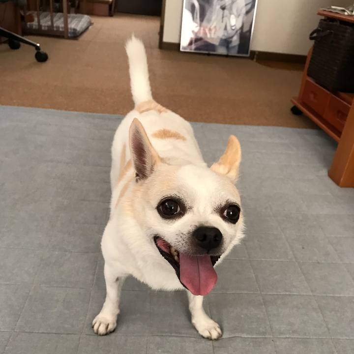 Fcd4c7a7 a3ce 4ec4 afac 5798a061289f