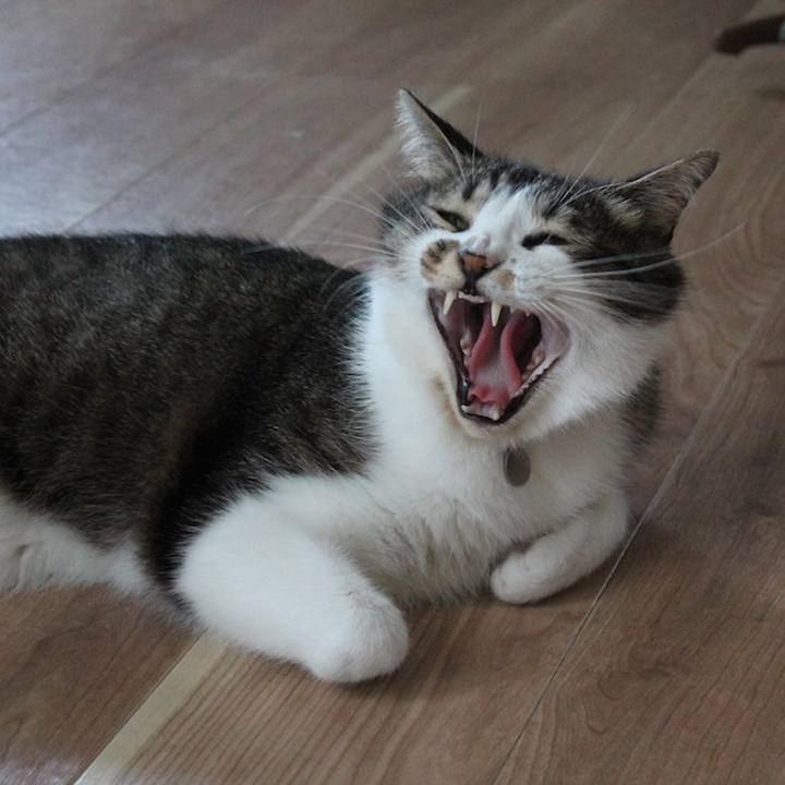 Fcd4fa5c 35d9 4d02 8c45 b8906697be67