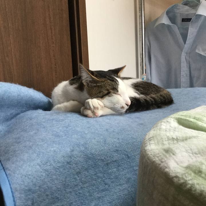 Fcd5463f 81c2 4146 aebf 4107a39a45d3