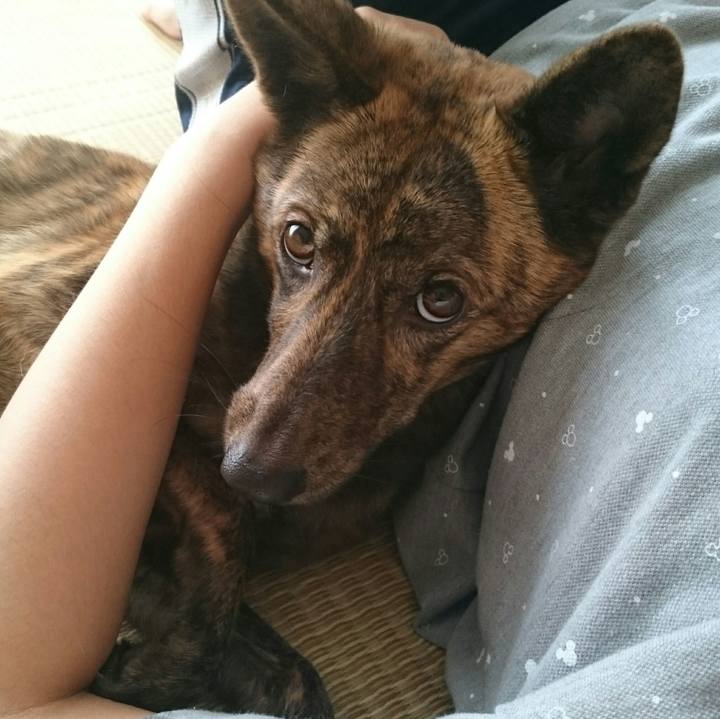 Fcd64531 4a37 4481 ac4f 9004d040ebf7