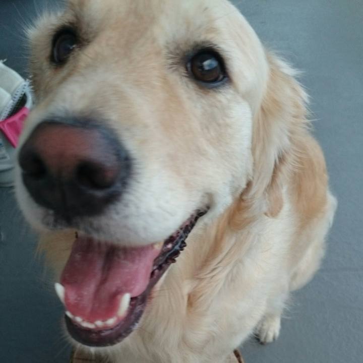 Fcd79476 d733 416b bf2f 9c83021f5c01