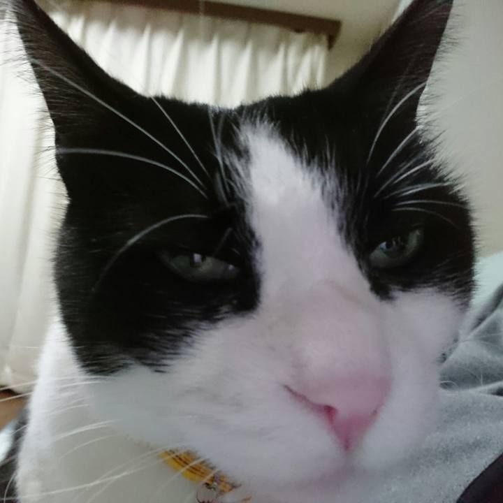 Fcd7a123 11ef 4516 9ba2 80cca8a2d891