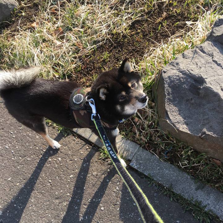 Fcd9106c 7f63 425c 957b 82ed4b84d7b0