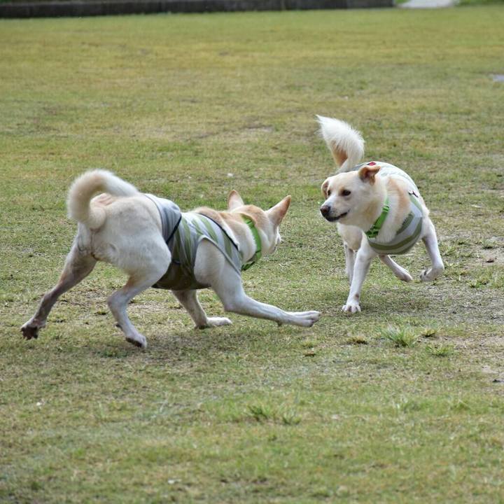 Fcd98716 993d 4a8b bb10 150cd8dc3c8e