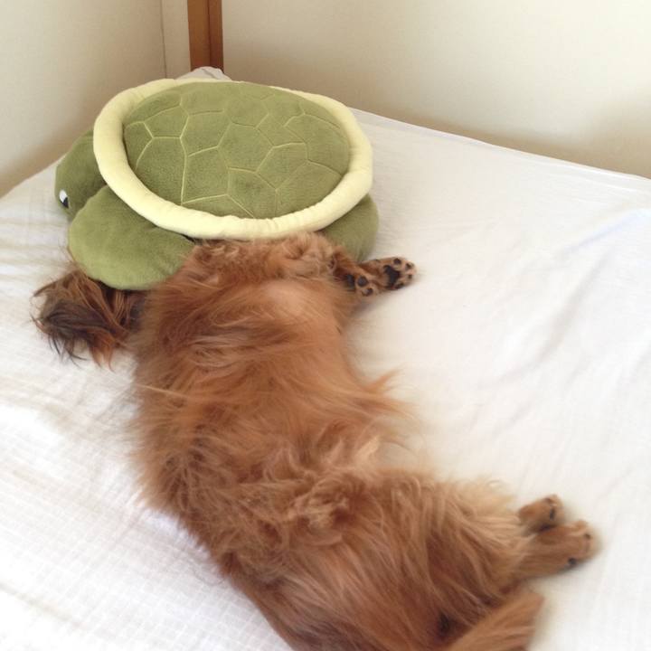 Fcd9a513 1258 4af0 a89b 281949d325fa