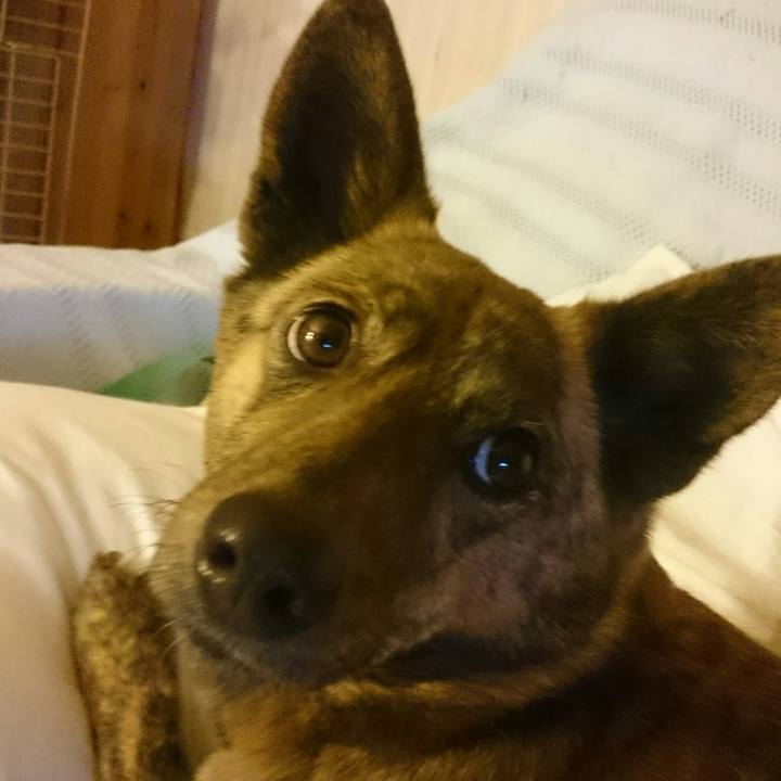 Fcd9dbdc 05a2 454b a44b 32cb11c549e0