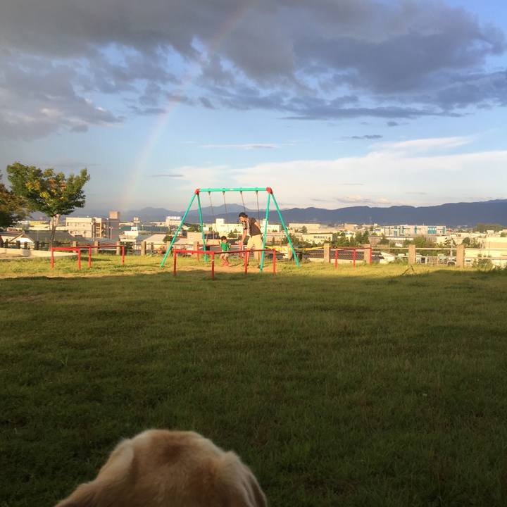 Fcda0050 98cb 4759 93f5 b887f41c736c