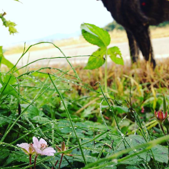 Fcdb5184 8660 43d0 bc89 aa050aa4c91f