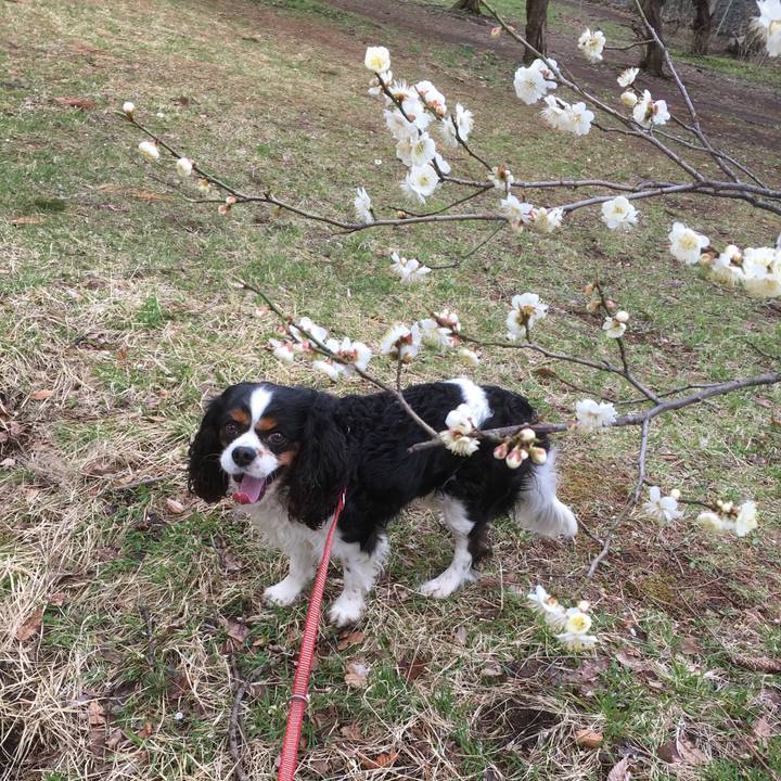 Fcdba914 a9fd 4a3a 9db0 4e3bdf372101