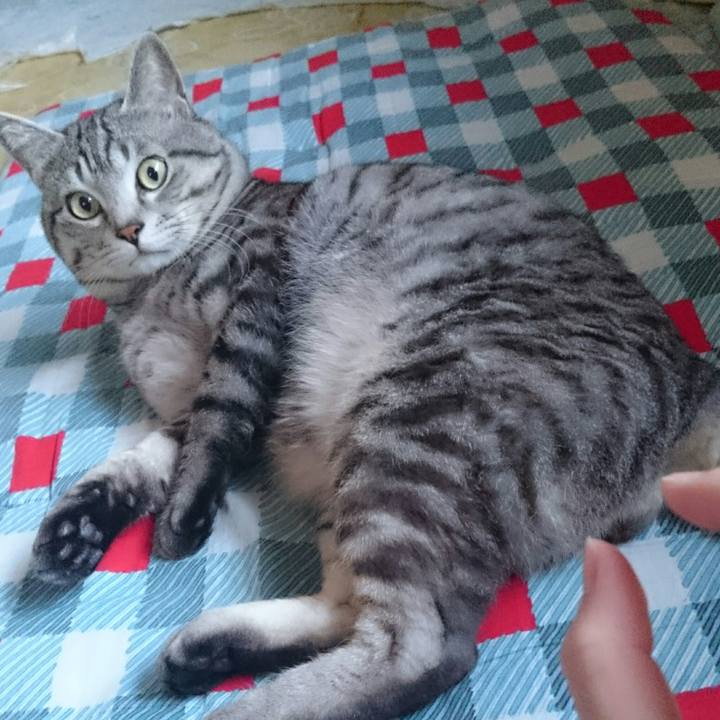 Fcdcb626 6e54 4fb1 b670 8764defe0e4f