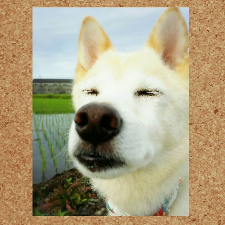 Fcdcf133 c181 4f9a a58a 488dbbeda17e