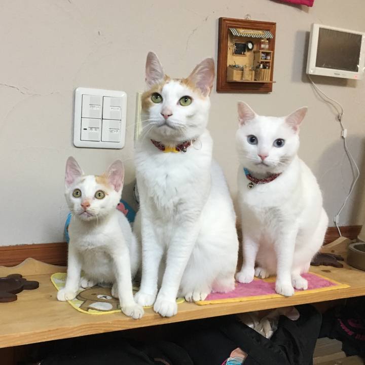 Fcdd15c5 1245 4de4 8f85 193aa5e03053