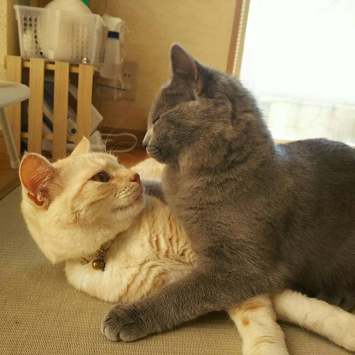 Fcdd4e82 5a66 4bfd 9483 bc175a00f8f9