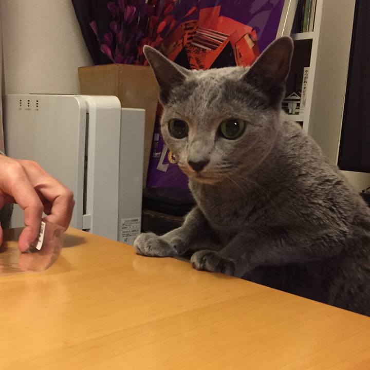 Fcddacfe 9fb4 4772 8ad7 2c3b99db0bc5