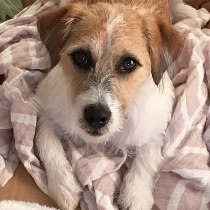 Fcde79a7 a5b9 4564 9510 3290ae0bc867