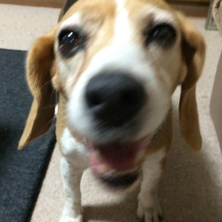 Fcde89f3 e928 478d 9e8d b7ff0096108e