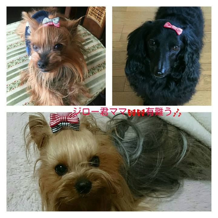 Fcdeebf7 96a3 4eca b66c 5da6d5bece7d