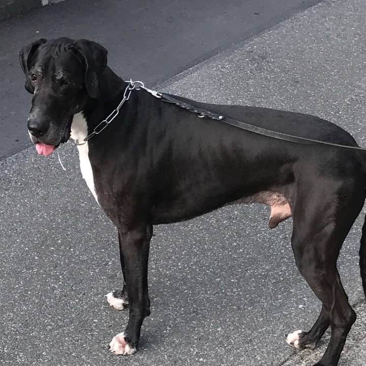 Fcdfafeb bdd6 496a a6f2 6fb1ff73ad38