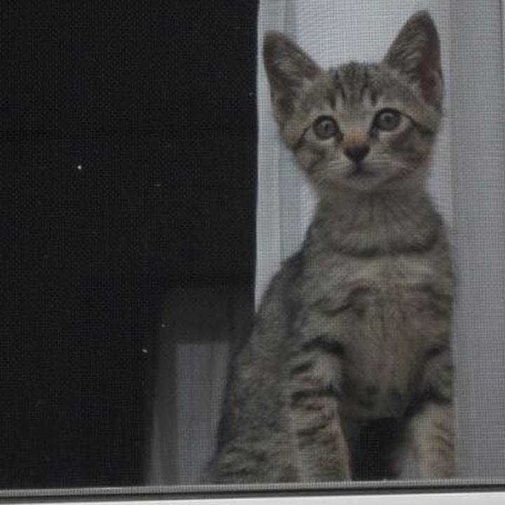 Fcdffab1 6267 43af aaff a85b7d01afce